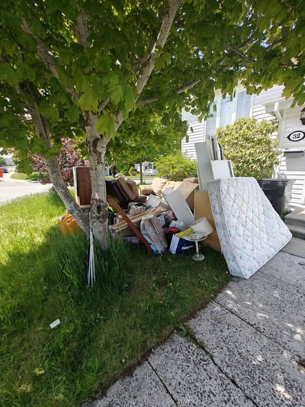 Before: Furniture removal needed on front lawn in St. John's Newfoundland